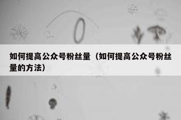 如何提高公众号粉丝量（如何提高公众号粉丝量的方法） 第1张