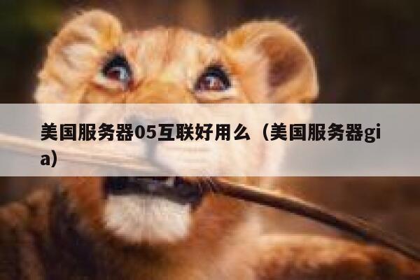 美国服务器05互联好用么（美国服务器gia） 第1张