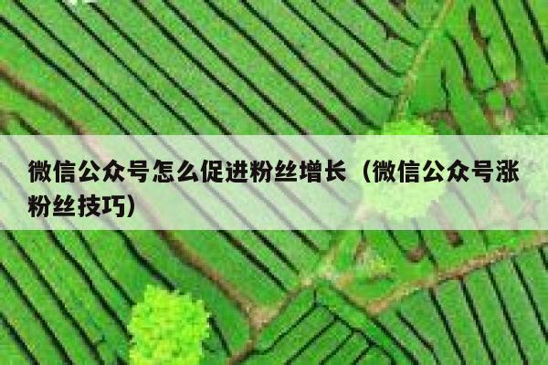 微信公众号怎么促进粉丝增长（微信公众号涨粉丝技巧） 第1张