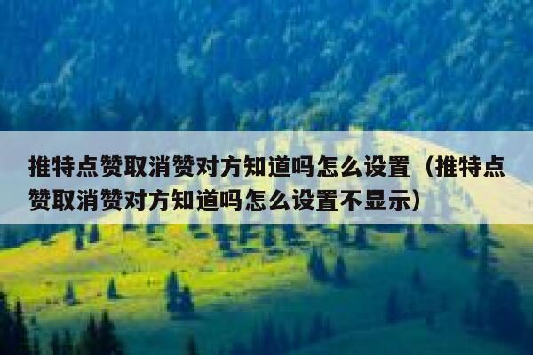 推特点赞取消赞对方知道吗怎么设置（推特点赞取消赞对方知道吗怎么设置不显示） 第1张