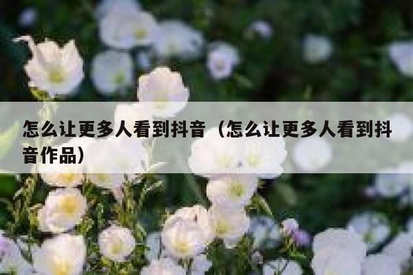 怎么让更多人看到抖音（怎么让更多人看到抖音作品） 第1张