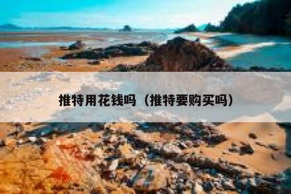 推特用花钱吗（推特要购买吗） 第1张