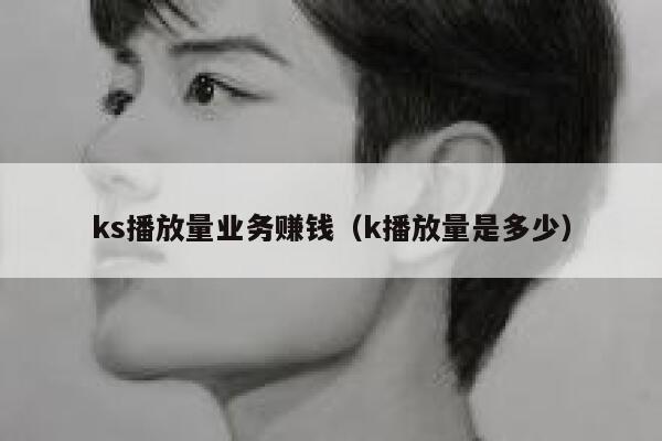 ks播放量业务赚钱（k播放量是多少） 第1张