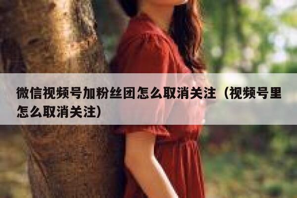 微信视频号加粉丝团怎么取消关注（视频号里怎么取消关注） 第1张