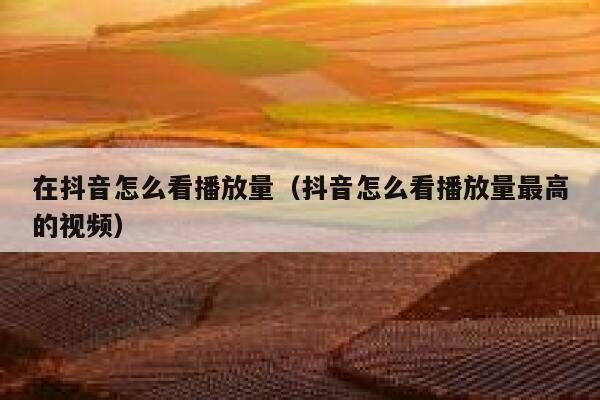 在抖音怎么看播放量（抖音怎么看播放量最高的视频） 第1张