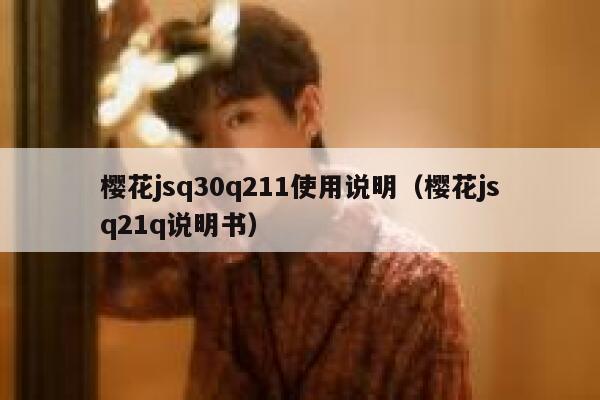 樱花jsq30q211使用说明（樱花jsq21q说明书） 第1张