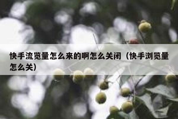 快手流览量怎么来的啊怎么关闭（快手浏览量怎么关） 第1张