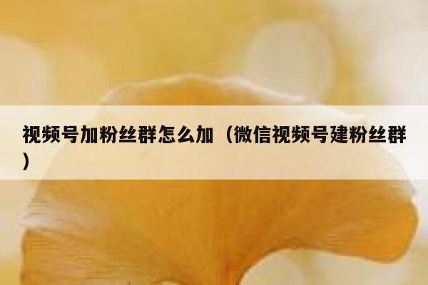视频号加粉丝群怎么加（微信视频号建粉丝群） 第1张