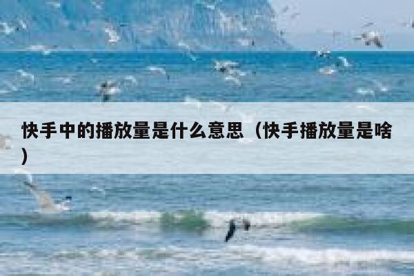快手中的播放量是什么意思（快手播放量是啥） 第1张