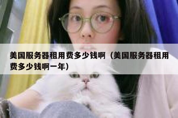 美国服务器租用费多少钱啊（美国服务器租用费多少钱啊一年） 第1张