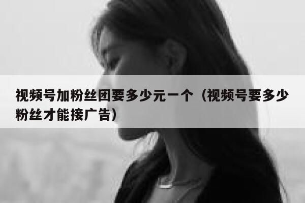 视频号加粉丝团要多少元一个（视频号要多少粉丝才能接广告） 第1张