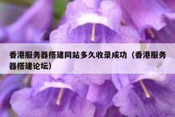 香港服务器搭建网站多久收录成功（香港服务器搭建论坛） 第1张