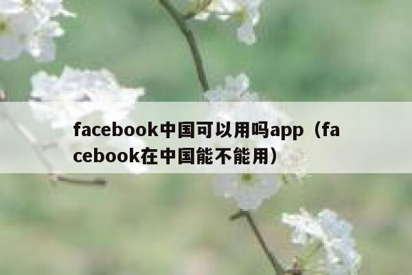 facebook中国可以用吗app（facebook在中国能不能用） 第1张