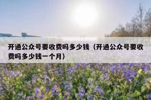开通公众号要收费吗多少钱（开通公众号要收费吗多少钱一个月） 第1张