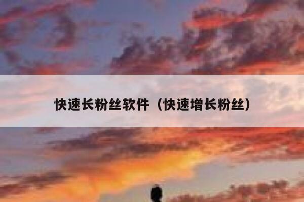 快速长粉丝软件（快速增长粉丝） 第1张