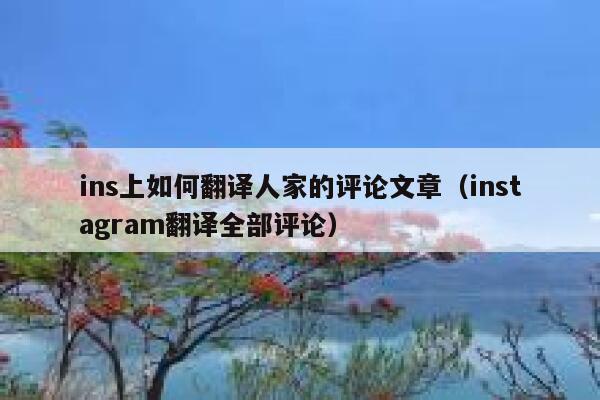 ins上如何翻译人家的评论文章（instagram翻译全部评论） 第1张