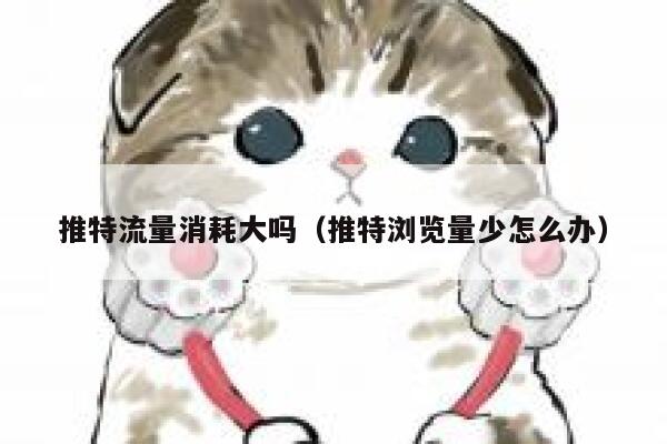 推特流量消耗大吗（推特浏览量少怎么办） 第1张