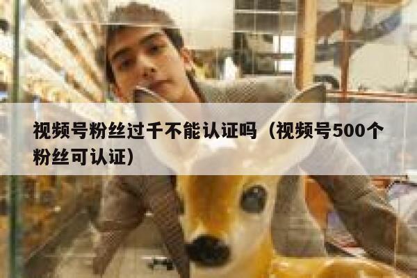 视频号粉丝过千不能认证吗（视频号500个粉丝可认证） 第1张