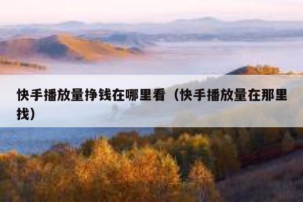 快手播放量挣钱在哪里看（快手播放量在那里找） 第1张