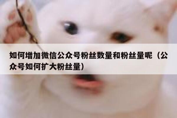 如何增加微信公众号粉丝数量和粉丝量呢（公众号如何扩大粉丝量） 第1张