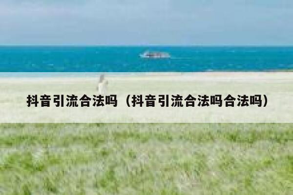抖音引流合法吗（抖音引流合法吗合法吗） 第1张