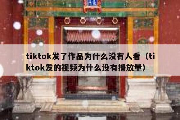tiktok发了作品为什么没有人看（tiktok发的视频为什么没有播放量） 第1张