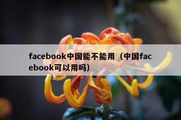 facebook中国能不能用（中国facebook可以用吗） 第1张