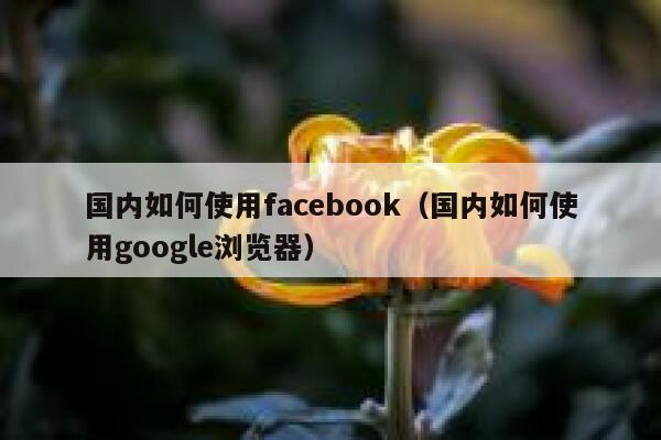 国内如何使用facebook（国内如何使用google浏览器） 第1张