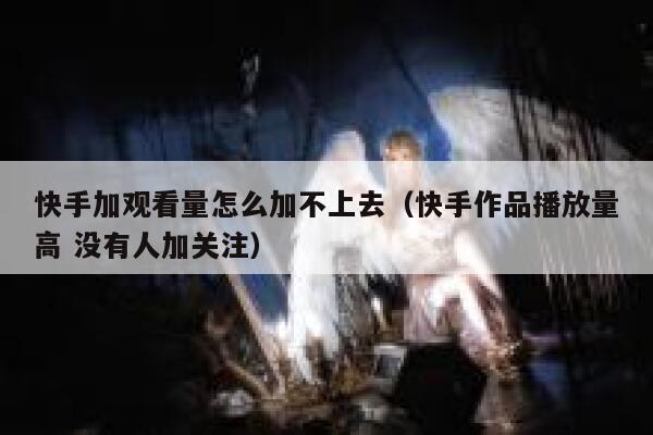 快手加观看量怎么加不上去(快手作品播放量高 没有人加关注) 第1张 快手加观看量怎么加不上去(快手作品播放量高 没有人加关注) 第1张