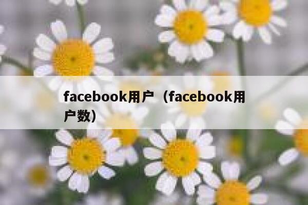 facebook用户(facebook用户数) 第1张 facebook用户(facebook用户数) 第1张