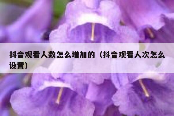 抖音观看人数怎么增加的(抖音观看人次怎么设置) 第1张 抖音观看人数怎么增加的(抖音观看人次怎么设置) 第1张