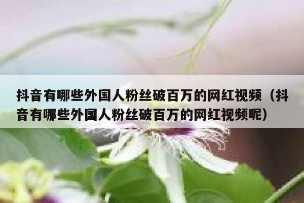 抖音有哪些外国人粉丝破百万的网红视频(抖音有哪些外国人粉丝破百万的网红视频呢) 第1张 抖音有哪些外国人粉丝破百万的网红视频(抖音有哪些外国人粉丝破百万的网红视频呢) 第1张