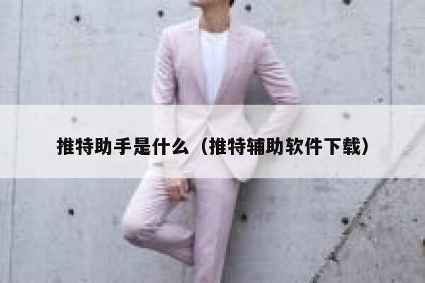 推特助手是什么（推特辅助软件下载） 第1张