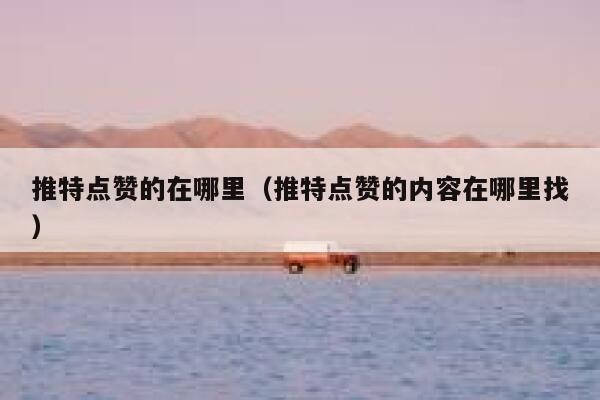 推特点赞的在哪里（推特点赞的内容在哪里找） 第1张