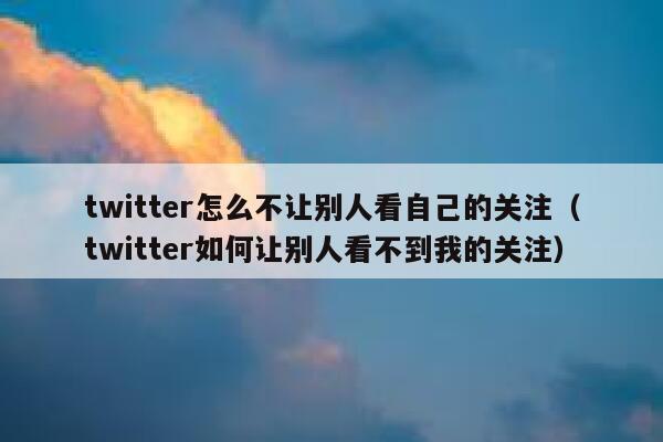 twitter怎么不让别人看自己的关注（twitter如何让别人看不到我的关注） 第1张