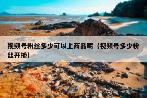 视频号粉丝多少可以上商品呢（视频号多少粉丝开播） 第1张