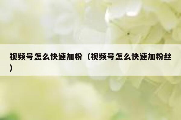 视频号怎么快速加粉（视频号怎么快速加粉丝） 第1张