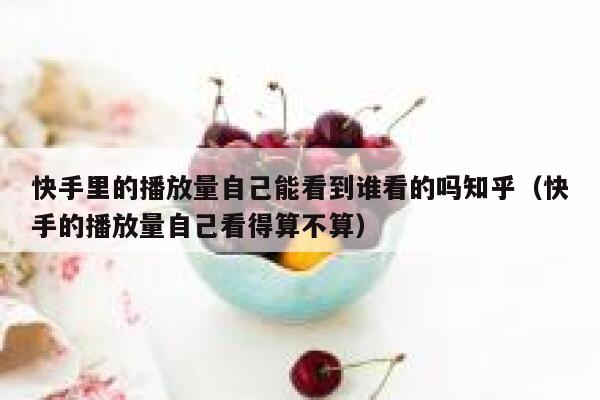 快手里的播放量自己能看到谁看的吗知乎（快手的播放量自己看得算不算） 第1张