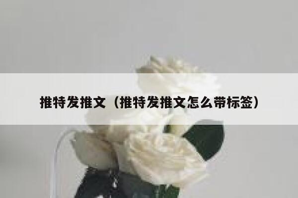 推特发推文（推特发推文怎么带标签） 第1张