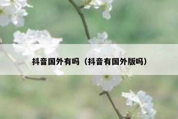 抖音国外有吗（抖音有国外版吗） 第1张