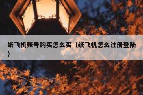 纸飞机账号购买怎么买（纸飞机怎么注册登陆） 第1张