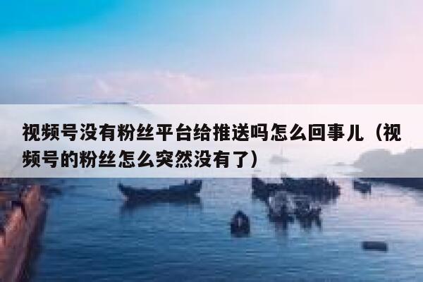 视频号没有粉丝平台给推送吗怎么回事儿（视频号的粉丝怎么突然没有了） 第1张