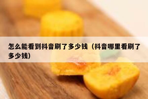 怎么能看到抖音刷了多少钱（抖音哪里看刷了多少钱） 第1张