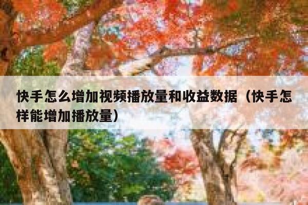 快手怎么增加视频播放量和收益数据（快手怎样能增加播放量） 第1张