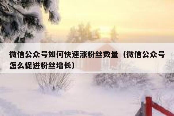 微信公众号如何快速涨粉丝数量（微信公众号怎么促进粉丝增长） 第1张
