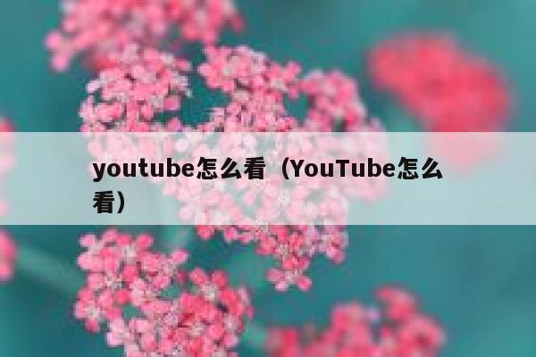 youtube怎么看（YouTube怎么看） 第1张