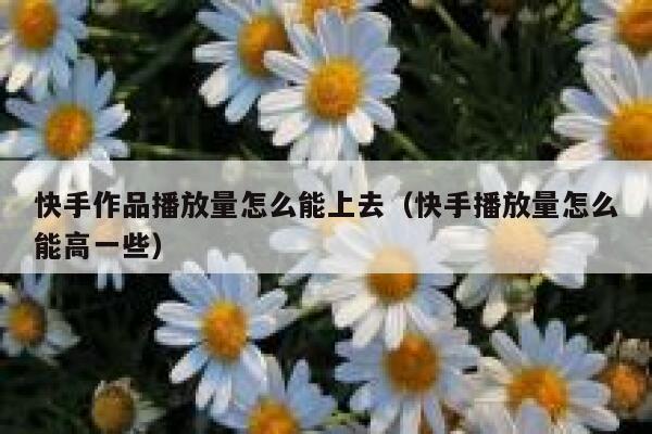 快手作品播放量怎么能上去（快手播放量怎么能高一些） 第1张