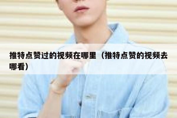 推特点赞过的视频在哪里（推特点赞的视频去哪看） 第1张