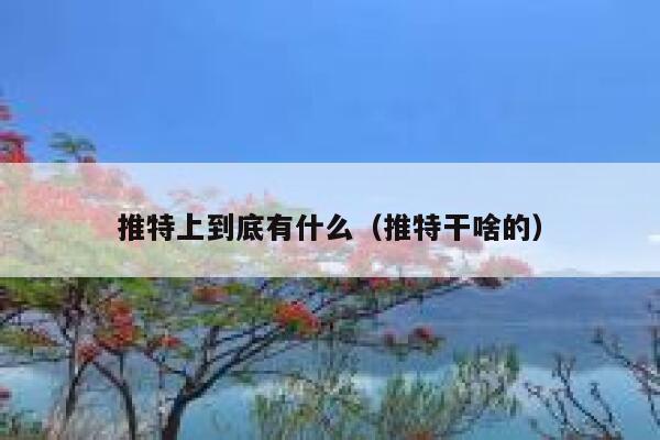 推特上到底有什么（推特干啥的） 第1张