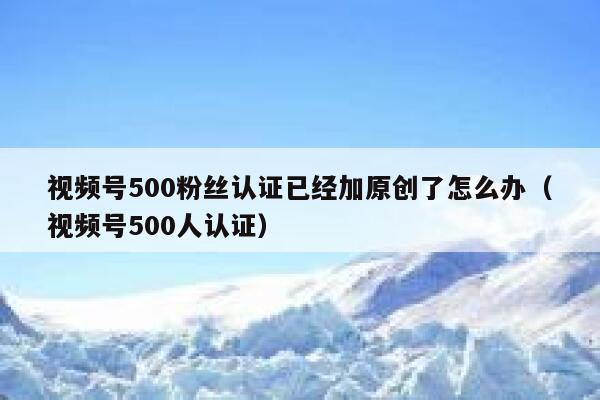 视频号500粉丝认证已经加原创了怎么办（视频号500人认证） 第1张